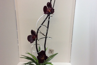 vase carr avec orchid mauve avec fil argent