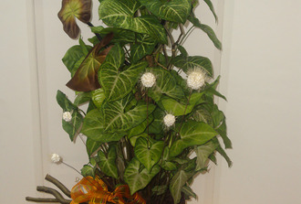 Syngonium  décoré avec fleur et salix ,vase  carré