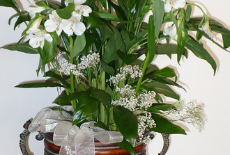 Spathiphyllum avec alstromaria dans vase