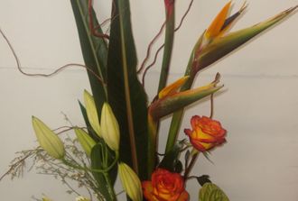 4-  oiseau,anthurium,lys salix,monstéra, rose