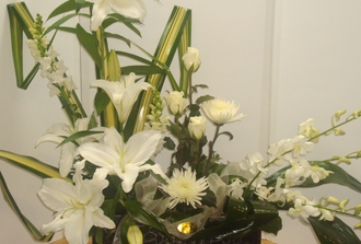 7-lys blanc,pendanus,dendro rose,fudgi