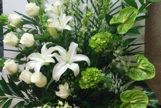 8- corbeille anthurium vert, lys blanc,roses blanches