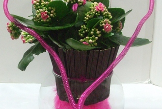 canladiva décorée en rose