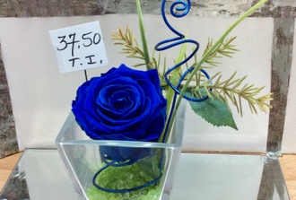 rose éternelle bleue dans vase  trapeze transparent
