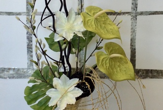 vase or noir,anthurium vert, salix noir, lothus