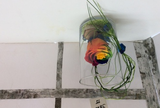 rose éternelle rainbow dans vase transparent