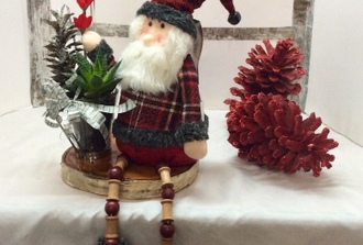 père Noël sur planche de bois avec vase succulentes