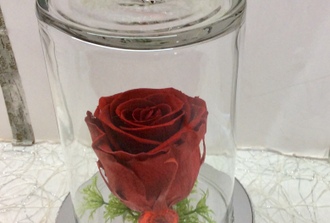 7-  rose rouge avec vase ferm? et coeur
