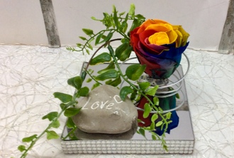 20- rose rainbow sur miroir ,roche love