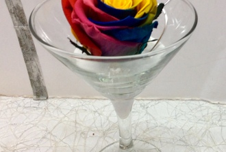 21--rose rainbow dans vase transparent 