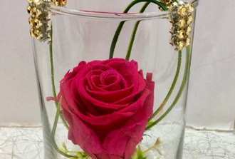 23- rose rose ,vase transparent avec du or