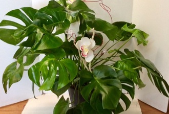 Monstera decore avec fleurs de soie